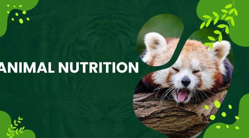 Vitamins In Animal Nutrition