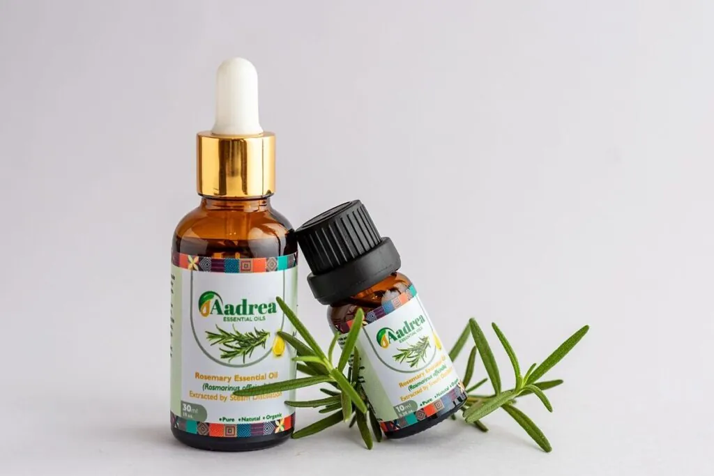 Bottles of rosemary essential oil with fresh rosemary sprigs