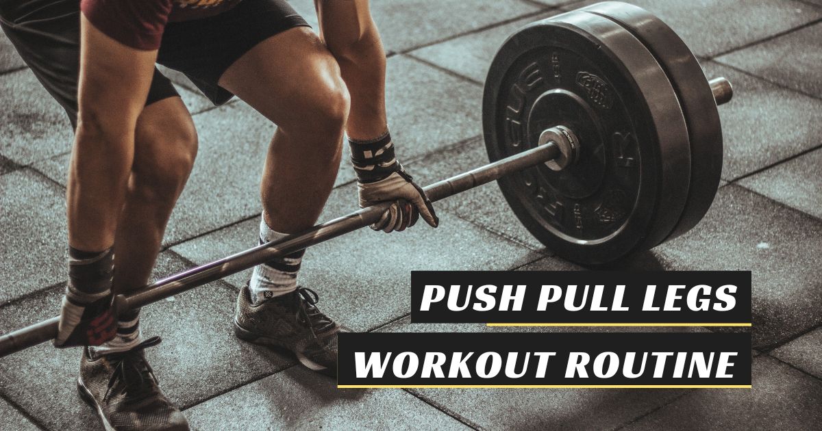 Push-Pull Legs Workout Routine